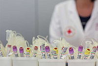 Imagefoto: DRK-Blutspende