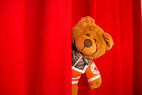 Teddybär in Einsatzbekleidung schaut aus rotem Vorhang