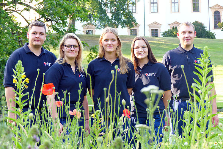 Rotkreuz-Team steht in Blumenwiese